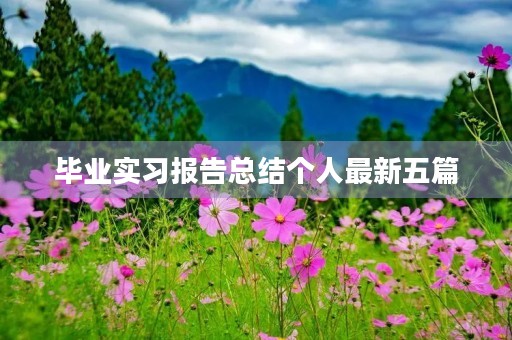毕业实习报告总结个人最新五篇