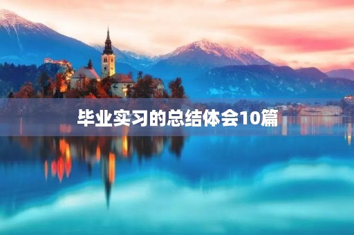 毕业实习的总结体会10篇