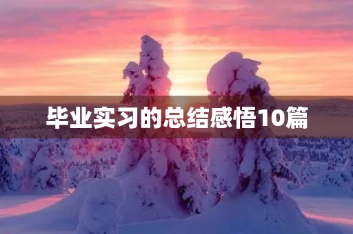 毕业实习的总结感悟10篇 毕业实习的总结感悟10篇