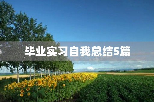 毕业实习自我总结5篇