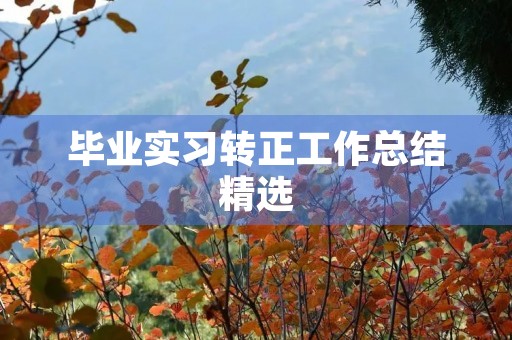 毕业实习转正工作总结精选