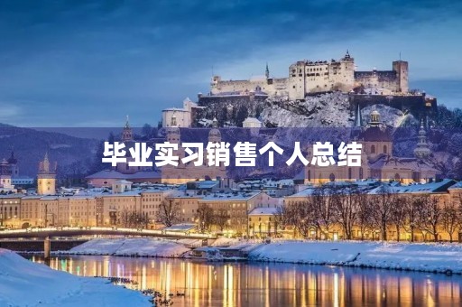 毕业实习销售个人总结