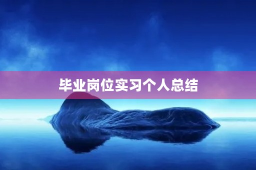 毕业岗位实习个人总结