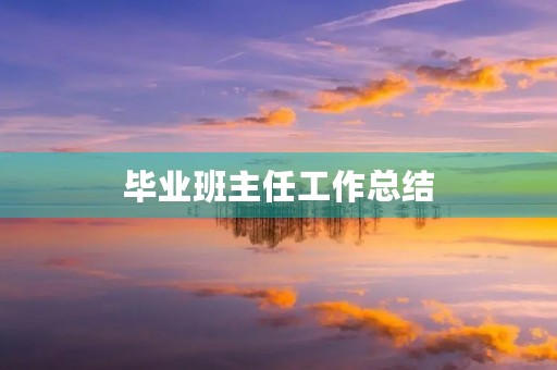 毕业班主任工作总结