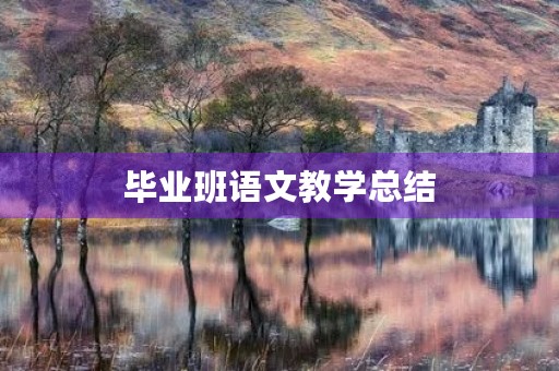 毕业班语文教学总结 毕业班语文教学总结