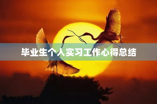 毕业生个人实习工作心得总结