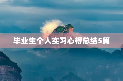 毕业生个人实习心得总结5篇