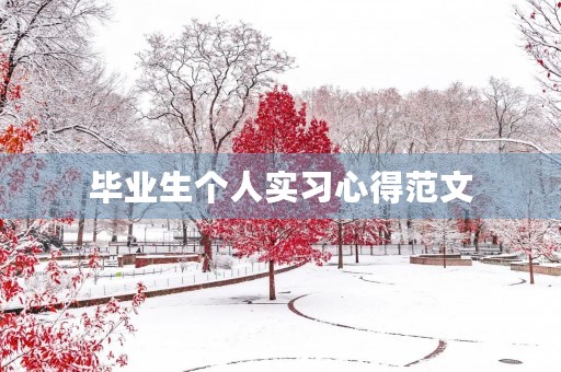 毕业生个人实习心得范文 毕业生个人实习心得范文
