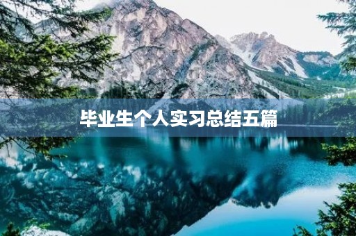 毕业生个人实习总结五篇