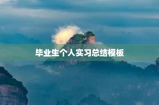 毕业生个人实习总结模板