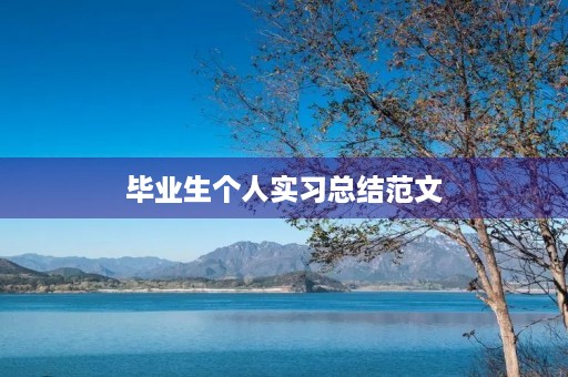 毕业生个人实习总结范文