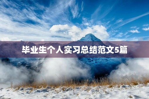 毕业生个人实习总结范文5篇 毕业生个人实习总结范文5篇