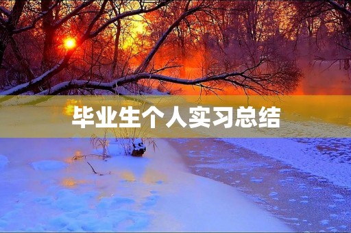 毕业生个人实习总结（5篇）