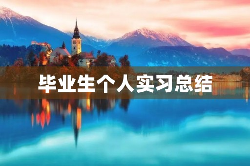 毕业生个人实习总结（7篇）
