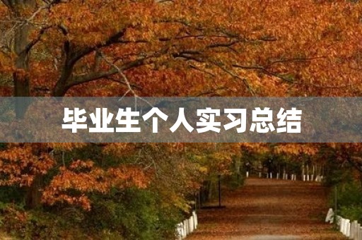 毕业生个人实习总结 毕业生个人实习总结