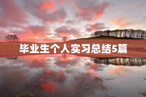 毕业生个人实习总结5篇 毕业生个人实习总结5篇