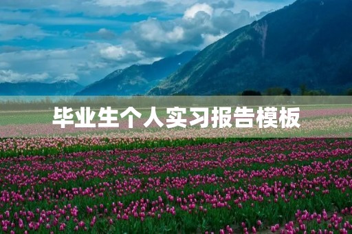 毕业生个人实习报告模板 毕业生个人实习报告模板