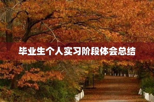 毕业生个人实习阶段体会总结 毕业生个人实习阶段体会总结