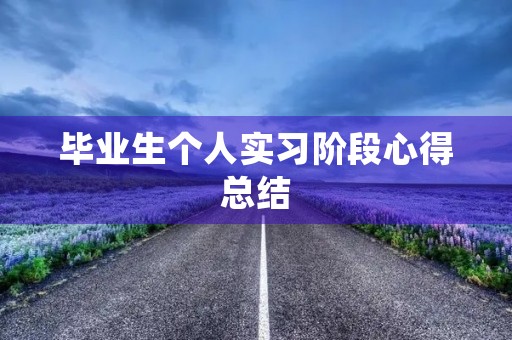 毕业生个人实习阶段心得总结 毕业生个人实习阶段心得总结