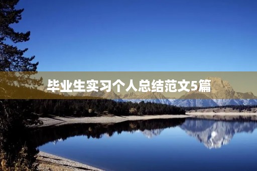 毕业生实习个人总结范文5篇