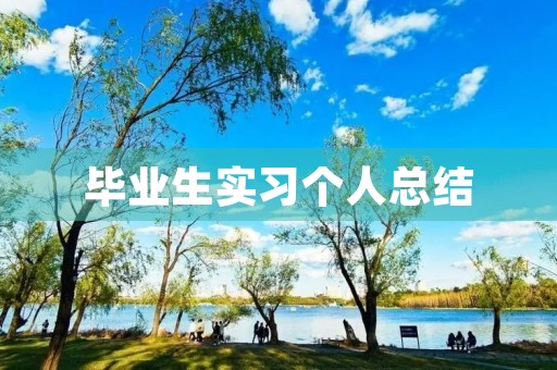 毕业生实习个人总结