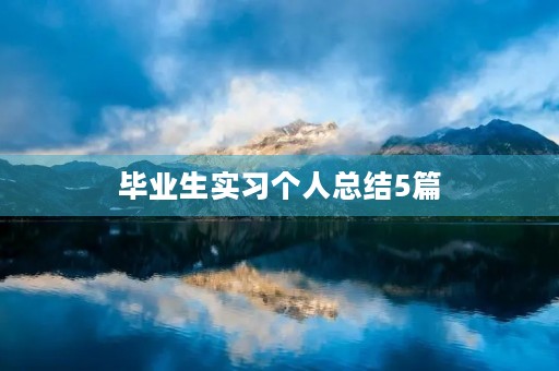 毕业生实习个人总结5篇