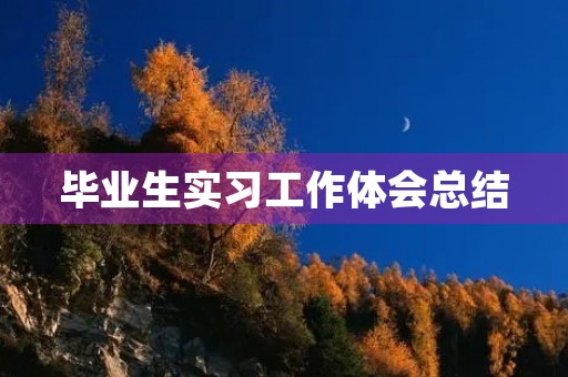 毕业生实习工作体会总结