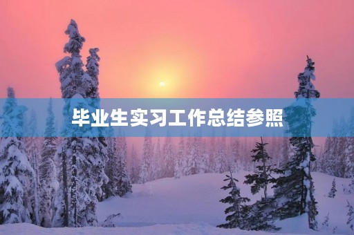 毕业生实习工作总结参照 毕业生实习工作总结参照