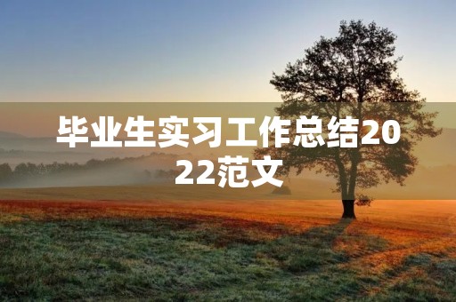 毕业生实习工作总结2022范文