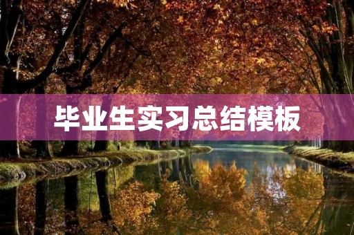 毕业生实习总结模板【10篇】
