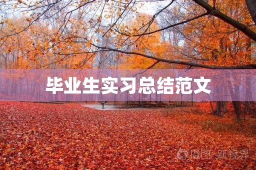 毕业生实习总结范文