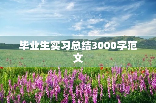 毕业生实习总结3000字范文