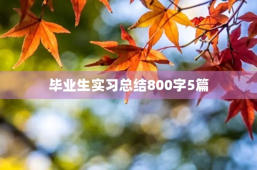 毕业生实习总结800字5篇 毕业生实习总结800字5篇