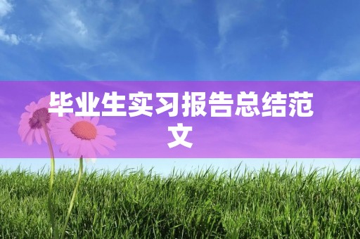 毕业生实习报告总结范文 毕业生实习报告总结范文