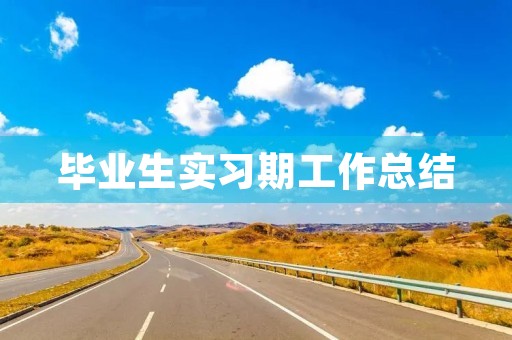 毕业生实习期工作总结