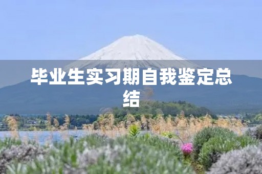 毕业生实习期自我鉴定总结