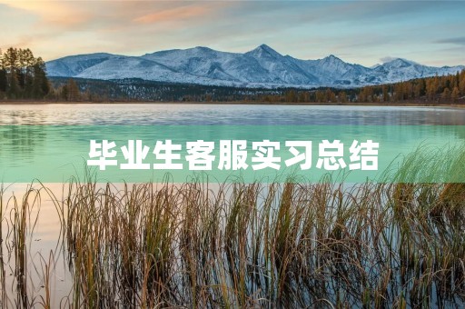 毕业生客服实习总结
