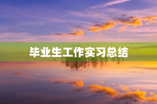 毕业生工作实习总结