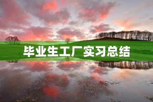 毕业生工厂实习总结 毕业生工厂实习总结