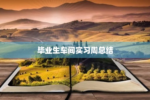 毕业生车间实习周总结 毕业生车间实习周总结