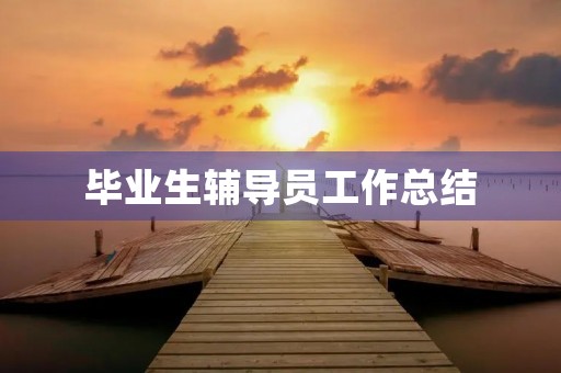 毕业生辅导员工作总结