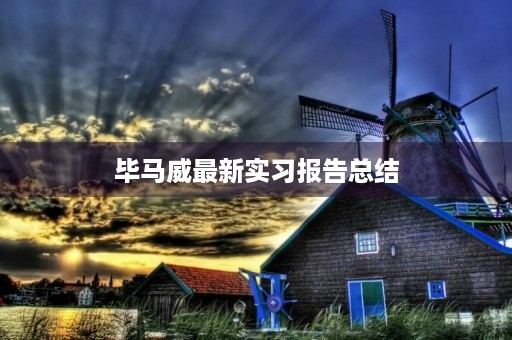 毕马威最新实习报告总结 毕马威最新实习报告总结