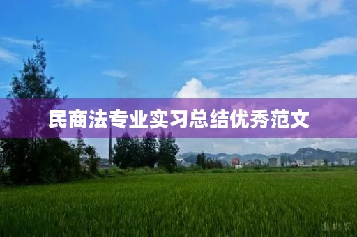 民商法专业实习总结优秀范文