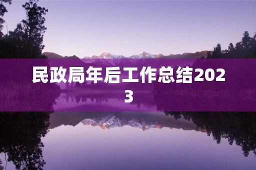 民政局年后工作总结2023