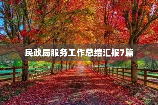 民政局服务工作总结汇报7篇