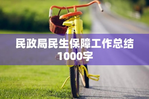 民政局民生保障工作总结1000字