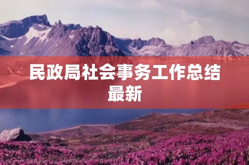 民政局社会事务工作总结最新