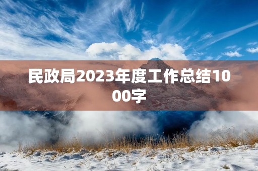 民政局2023年度工作总结1000字