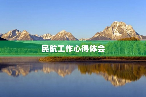 民航工作心得体会
