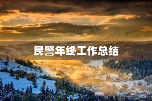民警年终工作总结